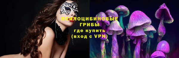 индика Алексин