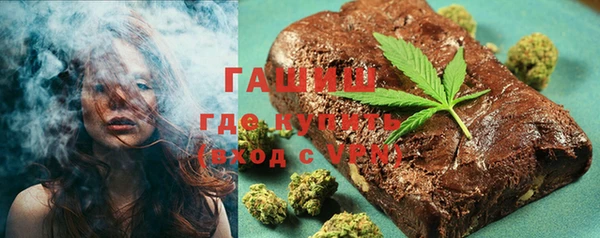 индика Алексин